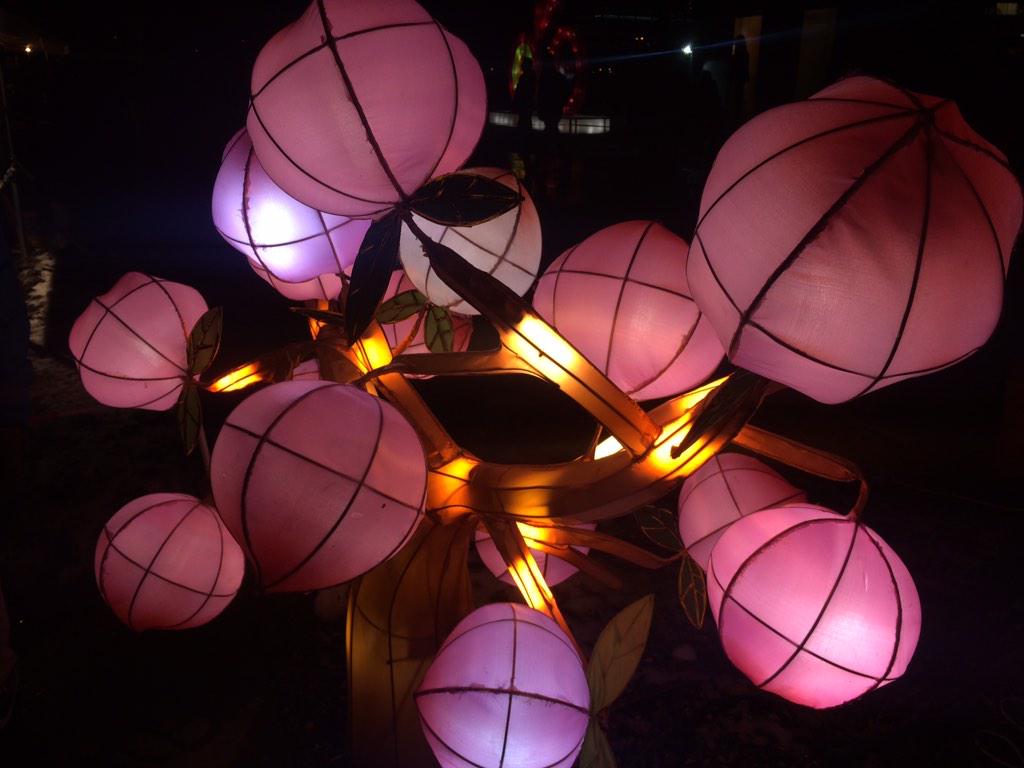HelloCaro78's tweet photo. @China_Light Wat prachtig hier! #utrecht #chinalight030 http://t.co/oSs8357Tye