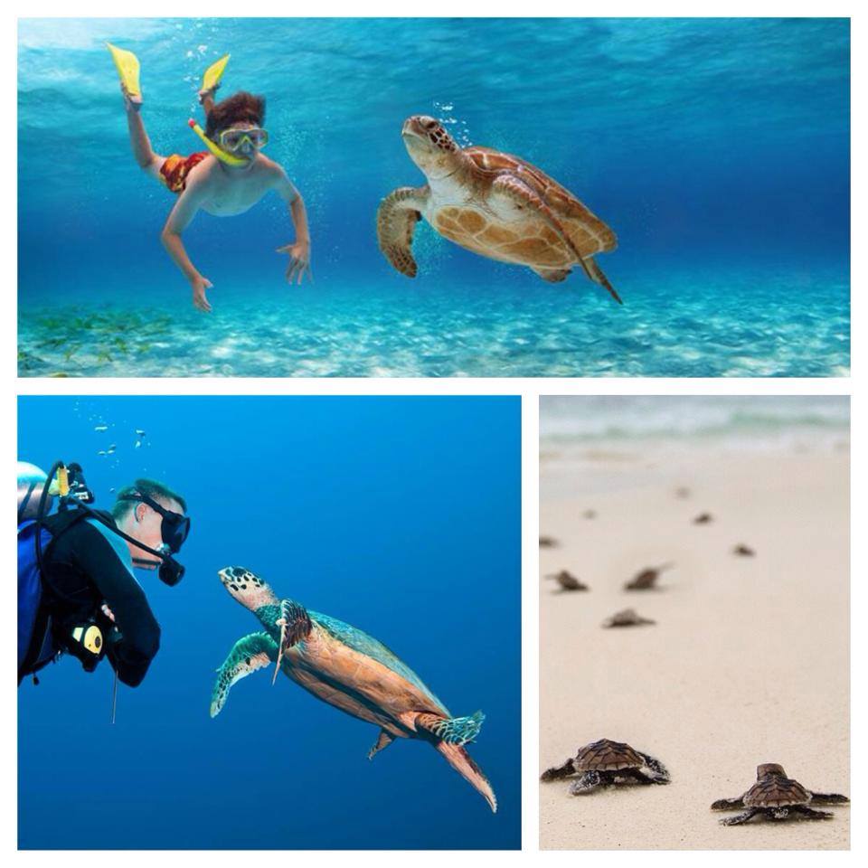 DiscoverAddu tweet picture