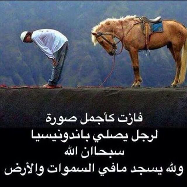 tarban1111's tweet photo. http://t.co/IWmtBHfaAP