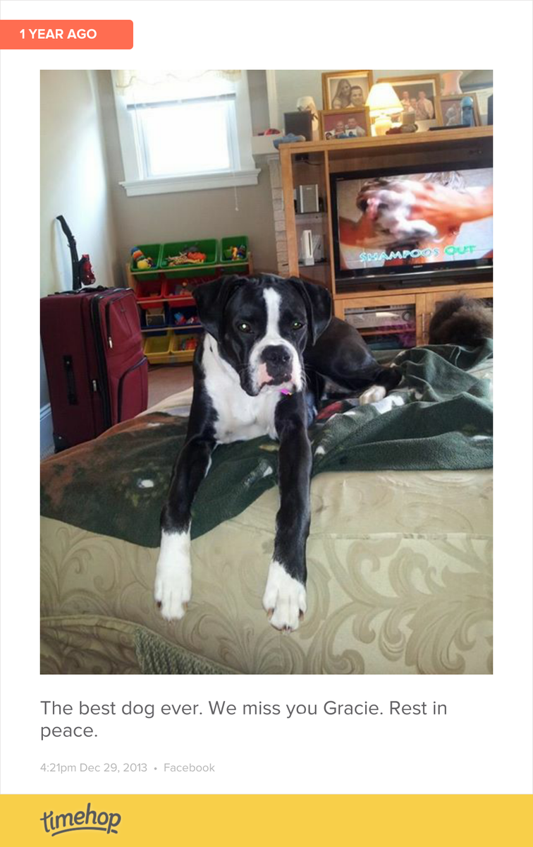 We love and miss you grace! Hope all is well in doggy heaven. timehop.com/c/fup:73492181…