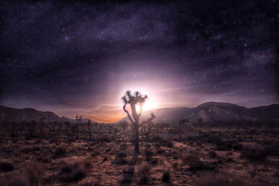 The <a href="/NatlParkService/">National Park Service</a> is part of <a href="/Interior/">US Department of the Interior</a> - follow for images like this Joshua Tree night by Sal Cavazos.