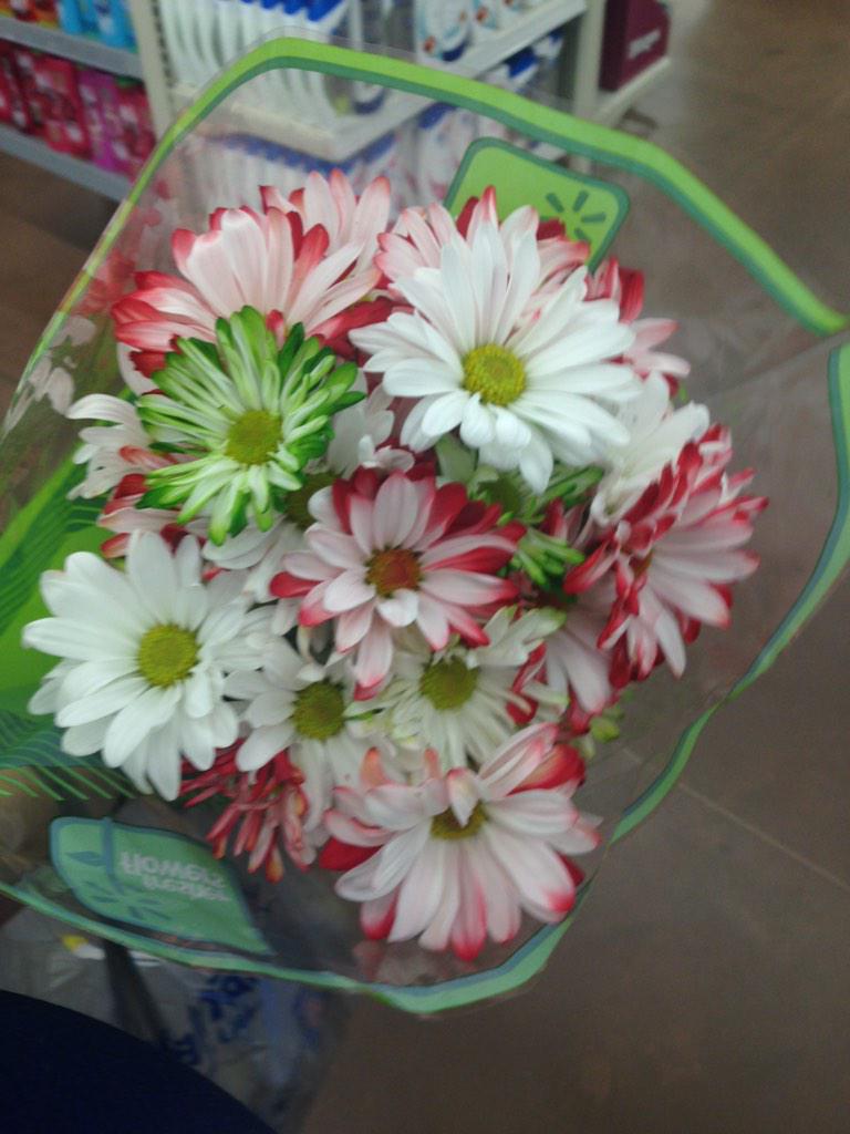 raemack_'s tweet photo. “@gabriellafaithh: Rachel bought me flowers http://t.co/4KBn7ehKbQ”💓