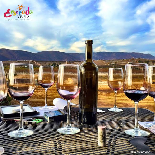 EnsenadaTravel's tweet photo. Dale la bienvenida al #2015 tomando #vinomexicano ;) http://t.co/62kiHetP2F