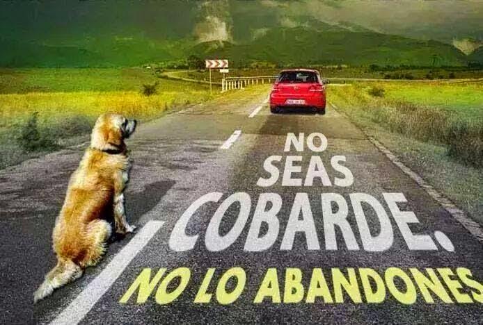 RIBERABA's tweet photo. PIC de @JuliaGD57:
#Abandono = a:
#Crueldad
#Ilegalidad
#Indolencia
#SubHumano
#MaltratoAnimal
#NoAlAbandono!!!!!! http://t.co/pnQMtiVRx6