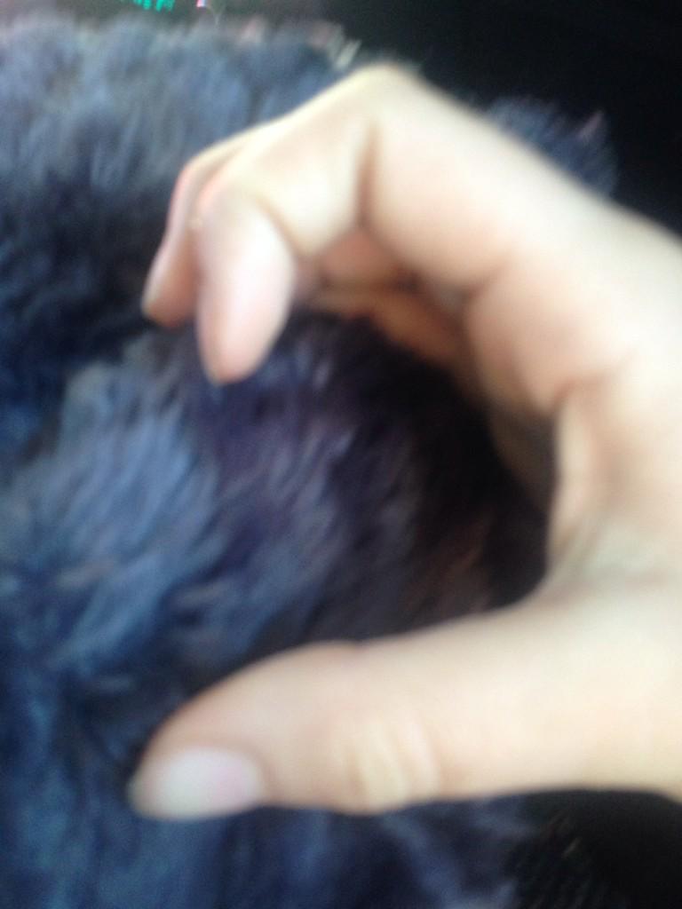 jennxgalaxy's tweet image. @Frantabucks_  #o2forever ❤️