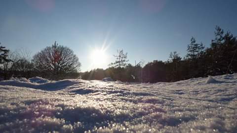 groen_ede's tweet photo. @BosbeheerEde @telpostdrieberg De omgegeving Edese bos/heide was prachtig wit gisteren! #sneeuw #winter http://t.co/3OKJw7CBhB