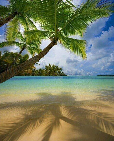 _Paisajes_'s tweet photo. Playa de Bavaro, Punta Cana. http://t.co/NtS6EfpQqf