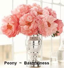 The Language of Wedding Flowers ....and their meanings 
noosaweddingring.com/?p=3248