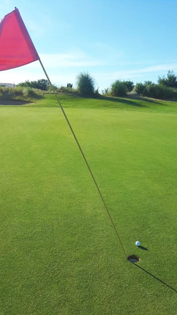 Alauracastro's tweet photo. Summer time! Practice time!
#shoesless #socksless #CostaEsmeraldaGolf
Hoyo 9 Hoyo 6 ๐ ๐ http://t.co/3lFdEWkgme