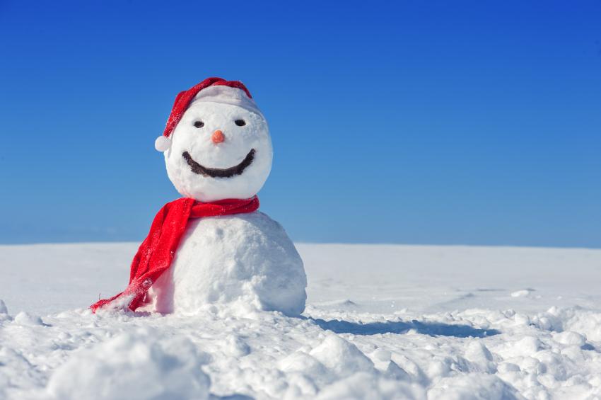 Canada در X: «In the Canadian North, snow makes up about 50% of the land.  Now that's a lot of snowmen! http://t.co/6g29nPB1v3 http://t.co/RbvYkospcy»  / X