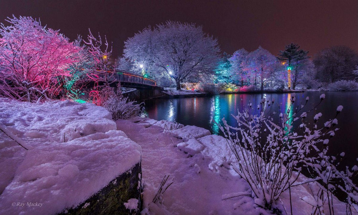 CBCNL's tweet image. Christmas-y last night in Bowring Park by Ray Mackey. Join our FB community for more pics! facebook.com/cbcnl