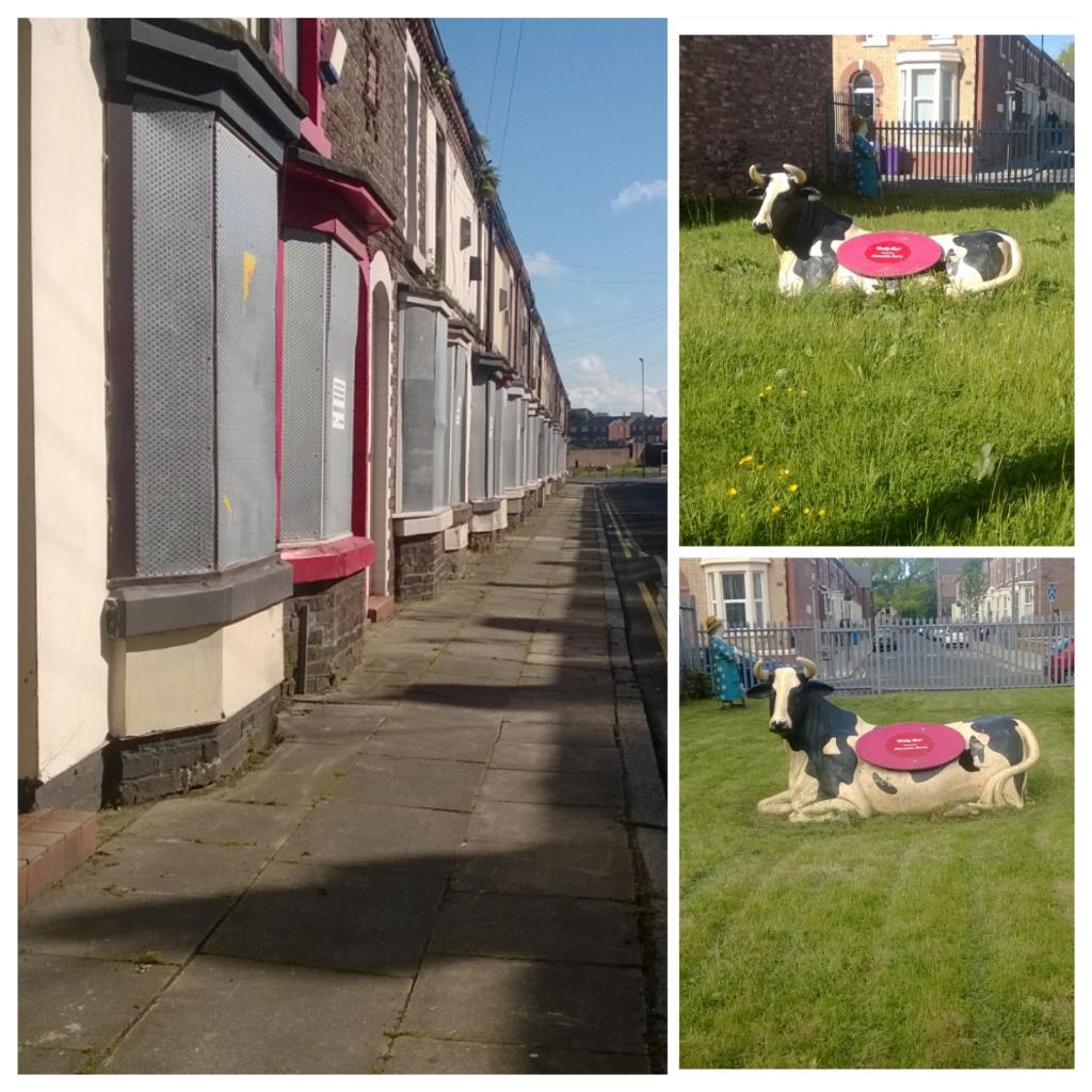 Got no ££££ Joe, Weeding the streets of Anfield and mowing the lawn around a cash cow because your in <a href="/LivEchonews/">Liverpool Echo</a>