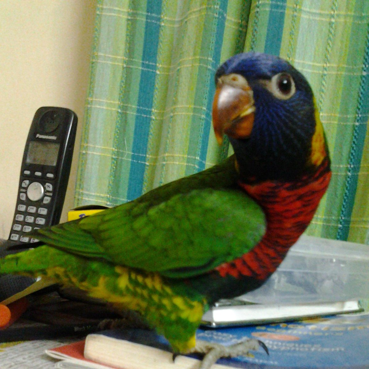 Priyanka ✨  (@priyankaswt29) on Twitter photo 