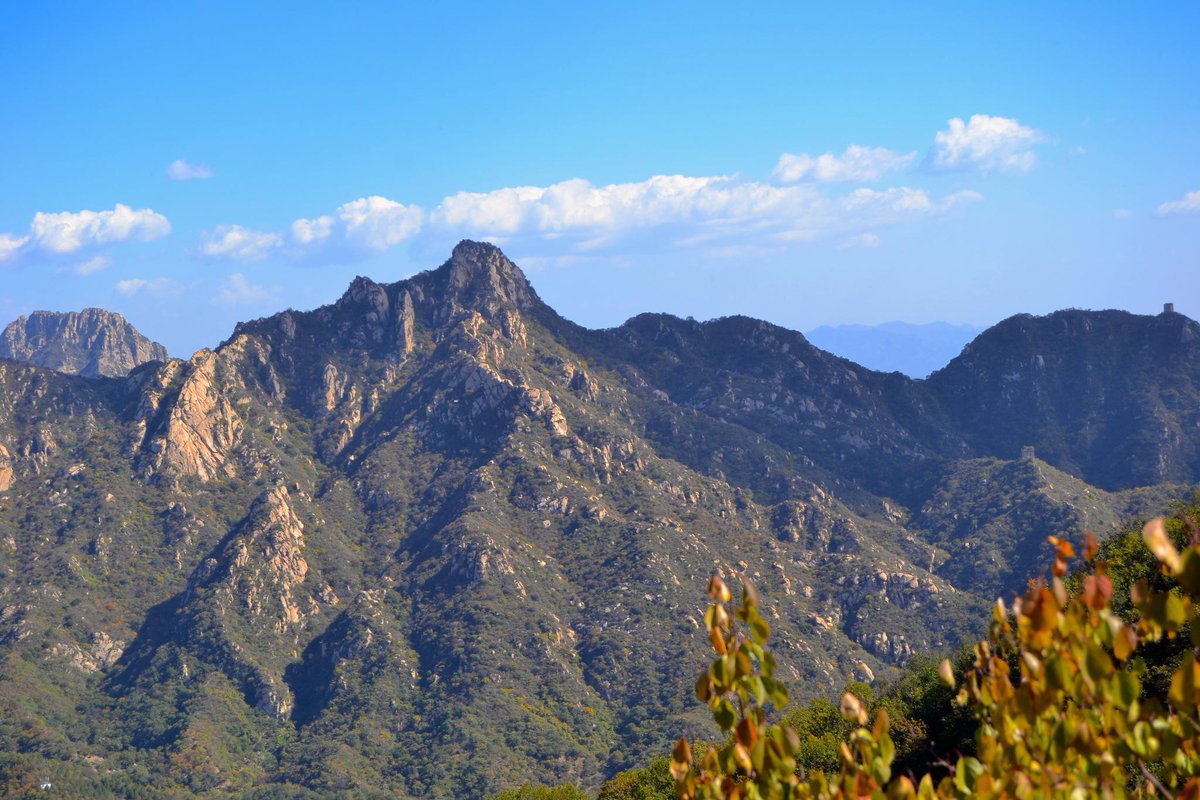 Kyle White tweet media