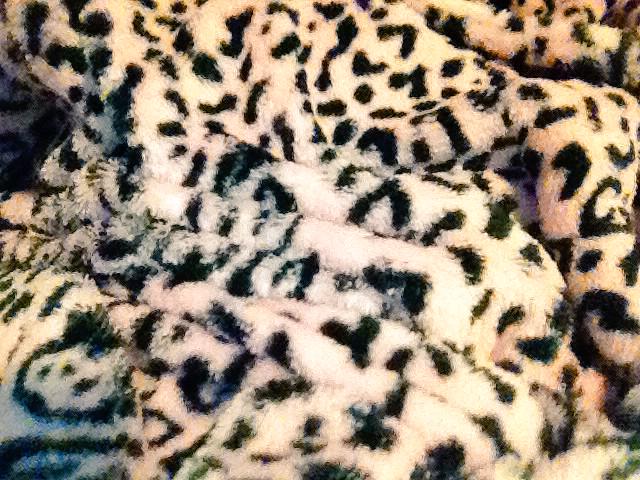 RuLangtastic's tweet photo. @JuliagMusic @lanarodriguez_ ps this is the pattern of the fuzziest fuckin robe I've ever loved http://t.co/qk4gZB81RO
