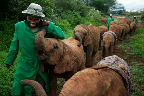 thedrunkystory's tweet photo. This is what the Elephant Orphanage in Nairobi looks like. http://t.co/6JrmxelyMK