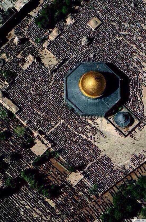 qalbcalligraphy's tweet photo. Palestine will be free. One day we will all pray in Palestine. InshaAllah 🙏 http://t.co/D83hUm1wdv