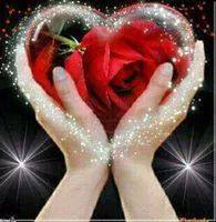 RealMonicaBellc's tweet photo. http://t.co/vm0kylRatP