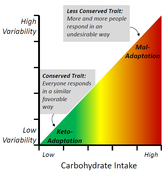 CarnivoresCreed's tweet photo. @KetoFlu 

I like Volek's "Carbohydrate Intolerance" chart:

http://t.co/13KzD6XSsf http://t.co/wLRWo3CRSK