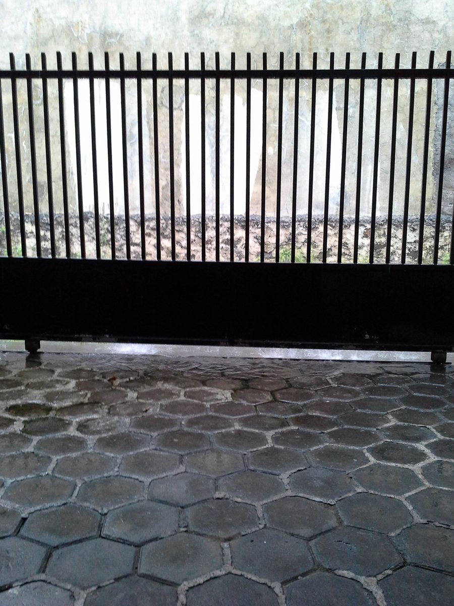 Air mintip2 masuk pagar #hujanderassiangini