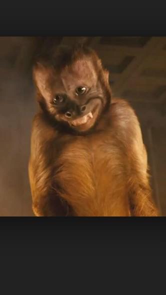 01__Cummins's tweet photo. @ashley_brennan soo could u purchase this little guy for me ? #cutie #😍💁 http://t.co/XuQG4QsSjv