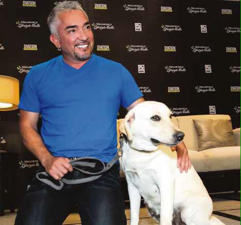 ovationprod's tweet photo. #Ovation2014Shows: A flashback of Ovation Productions shows this year!
CESAR MILLAN LIVE IN MANILA http://t.co/Ss0DJq3CRj