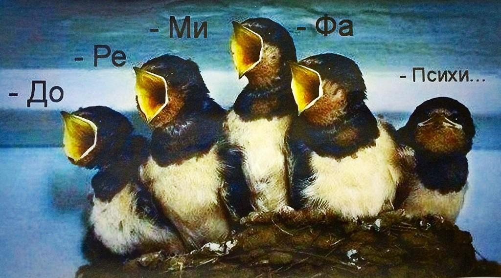 Ivanecki's tweet image. Минский колледж искусств. Угадайте, кто здесь Мила ;)