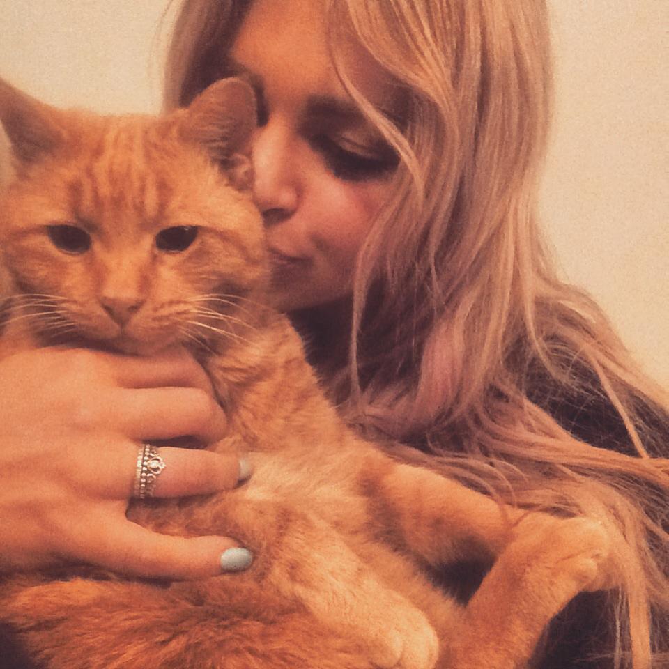 JessiGrudzinski's tweet photo. Miss this little one 🐱❤️ #gingermilo #myfirstkitty http://t.co/0PScMCQlTy