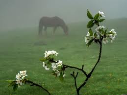 AlyasriAboo's tweet photo. http://t.co/3ehMOcfkig