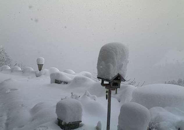 weathertoski tweet media