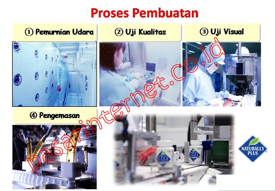 proses pembuatan super lutein atau s.lutena