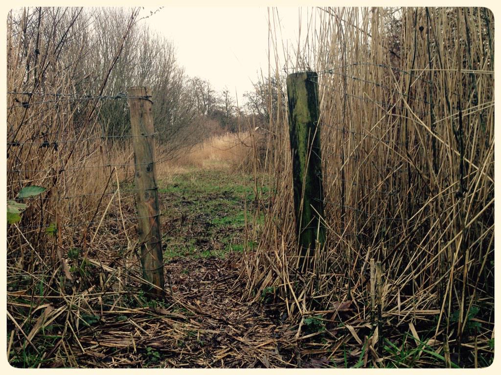 Bron: Mooi Heiloo