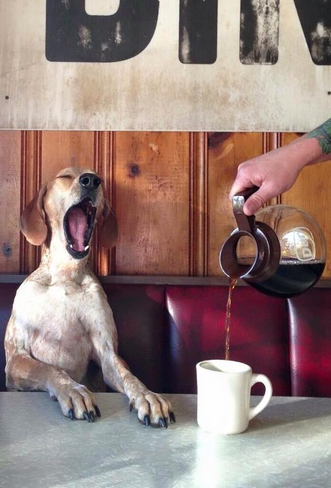 JerrySHarding's tweet photo. I need my coooffffeee !!!! #makeita @BakehouseSwanSt coffee !! http://t.co/A1NXMMJjpK