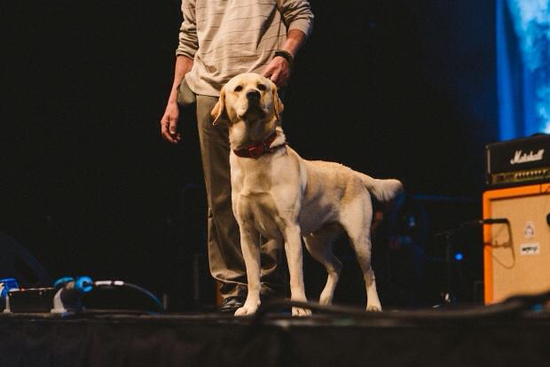 My crystal ball has spoken! Cans, collabs, cathedrals and more coming your way in 2015 brewdog.com/blog-article/s… woof!