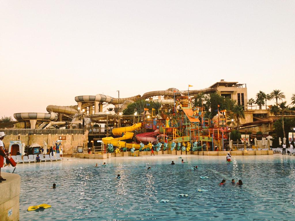 WildWadiDubai tweet picture