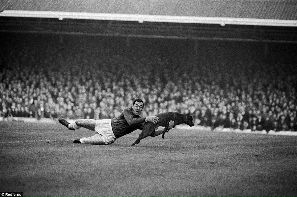 Happy Birthday! Gordon Banks (30-12-1937) 