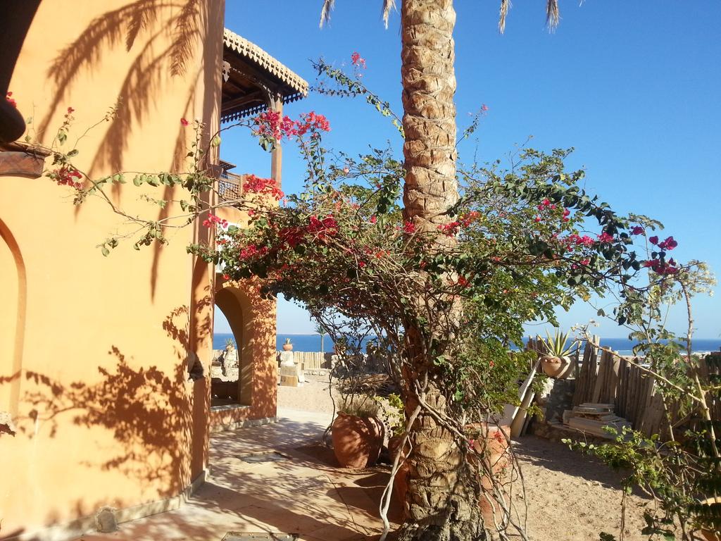 Embedded image permalink