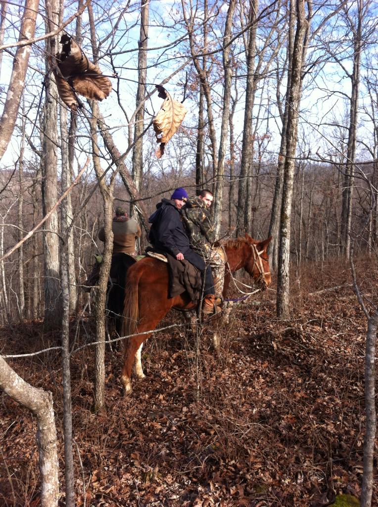 MegaPanther78's tweet photo. Great Hunt yesterday! #BlackHogDown! http://t.co/Q5chY7sSG3