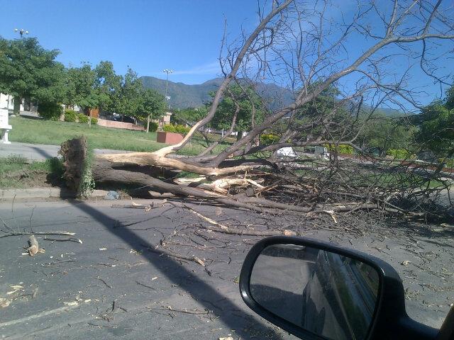 Enlace permanente de imagen incrustada