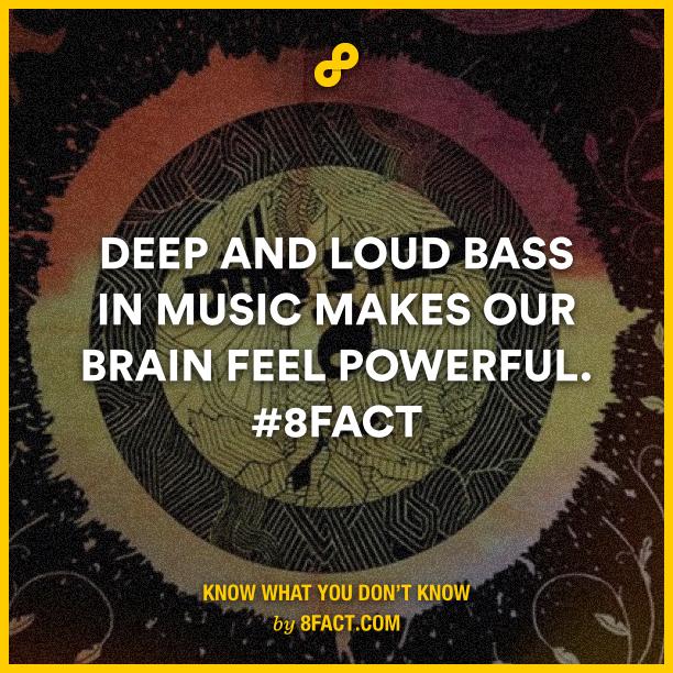 8factapp's tweet image. Seriously love that! Give me a beat!
Check out 8FACT STORE here: goo.gl/8YkV2D