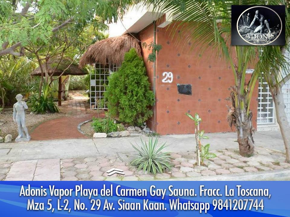 Gay Quintana Roo on Twitter "El mejor ambiente en Adonis Vapor Playa del Carmen. GAY SAUNA 