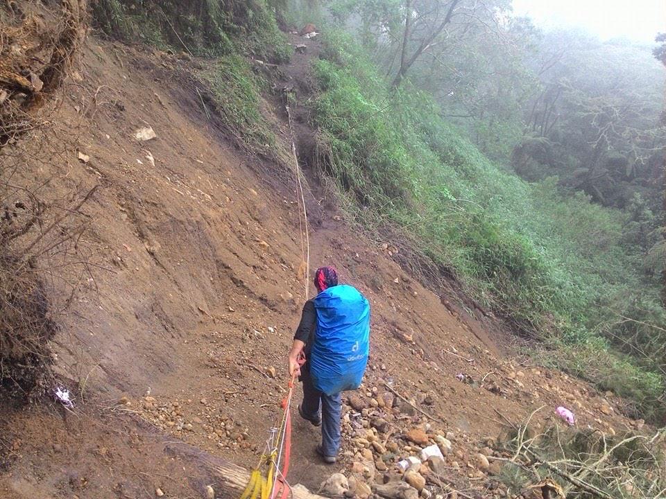 infopendaki tweet media