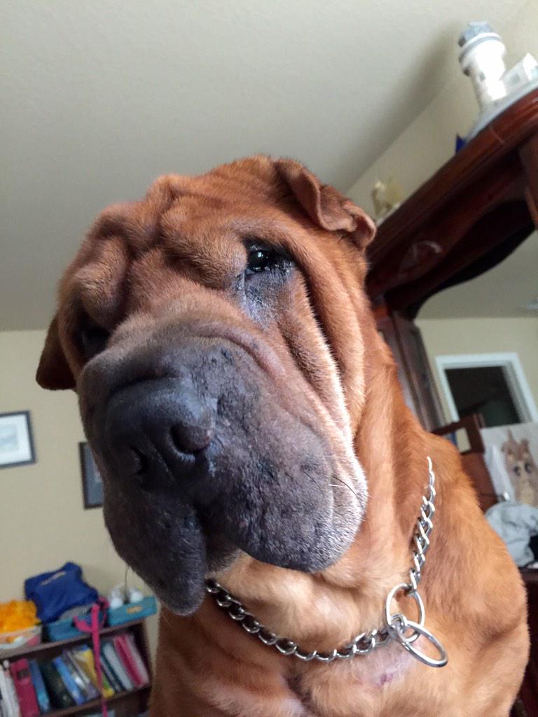 AChewyLife's tweet photo. You're getting up now. http://t.co/DWwqZoLtRw