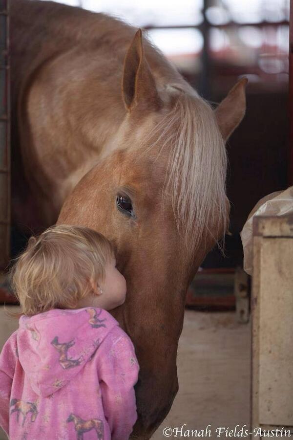 SirenSassenach's tweet photo. "@rejuvapet: Whoever said diamonds are a girls best friend clearly did not own a horse... http://t.co/ZWzrRF2kg8" precious