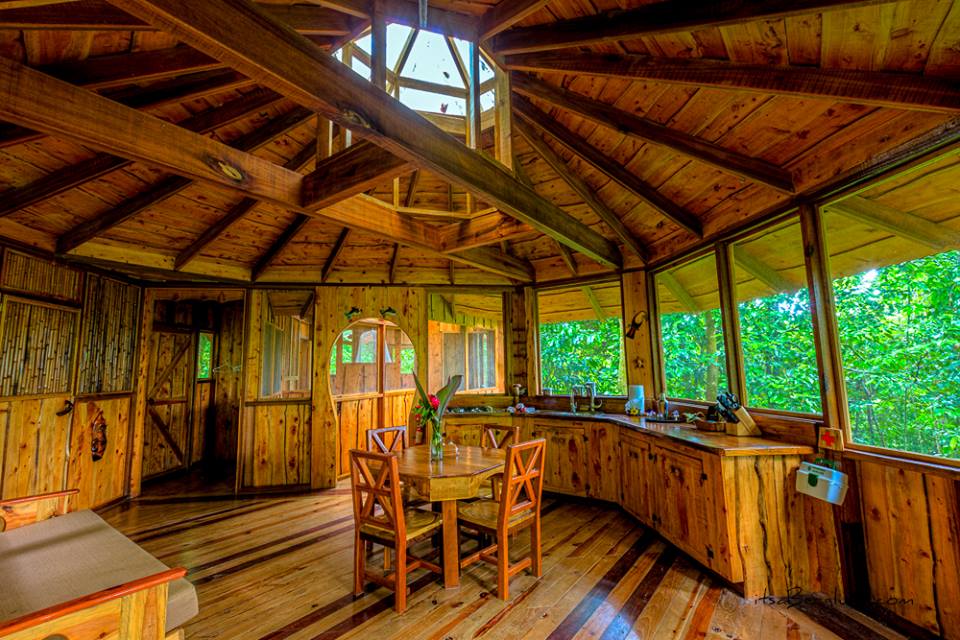Retweet if you've ever dreamed of living in a #treehouse!
#RT #CostaRica FincaBellavista.com
