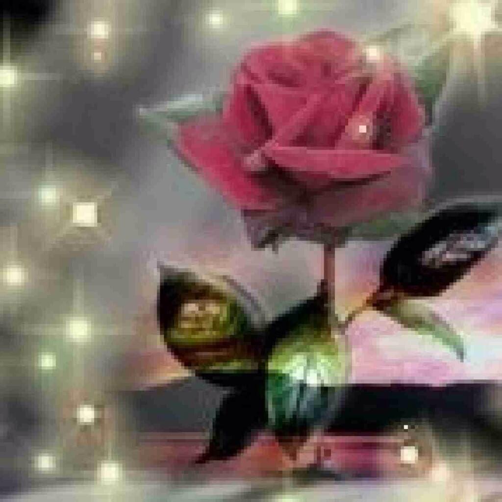 hagr201626's tweet photo. السلام.علكم.ورحمة.وبركة http://t.co/aSpxF1ukz2