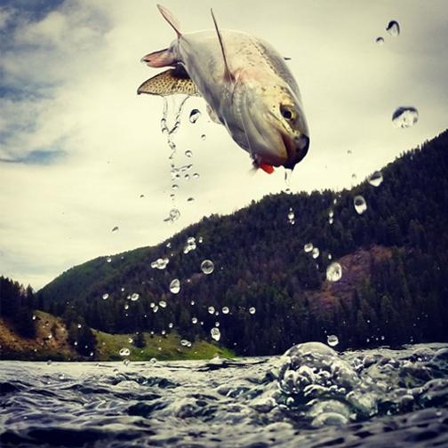 Congrats to Paolo Marchesi for submitting our favorite photo of 2014! #simmsfishing #forgettheforecast