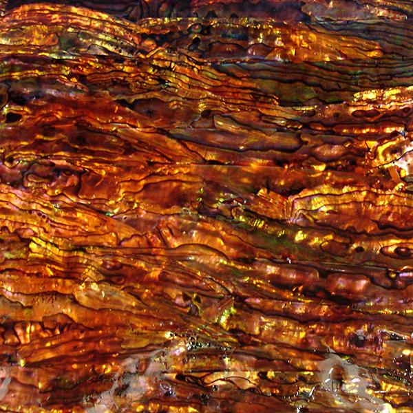 MatrixZStone's tweet photo. Golden Ochre Tint #MatrixZ http://t.co/tFu6sLVXjW http://t.co/g8dSX3Zd6R