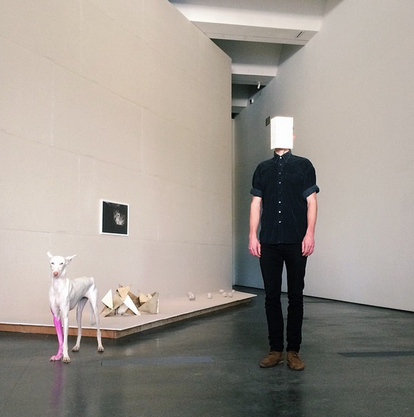 LACMA's tweet photo. Meet Human, Pierre Huyghe’s dog-in-residence: http://t.co/AbycLCIoe4 #HumantheDog #PierreHuyghe http://t.co/bFysLSrllK