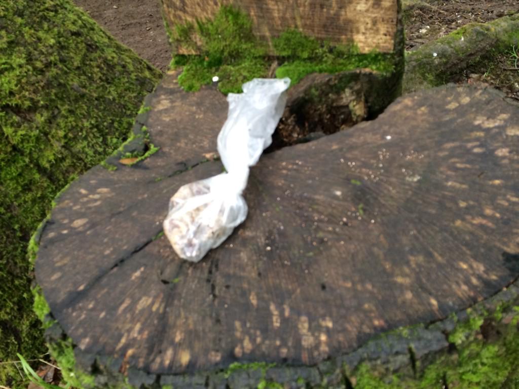 pickupten's tweet photo. All over #stanmerpark #sussex dog owners leave neat little bags of dog poop Just take it with you? #lazy #brighton http://t.co/er2CtcoyXP